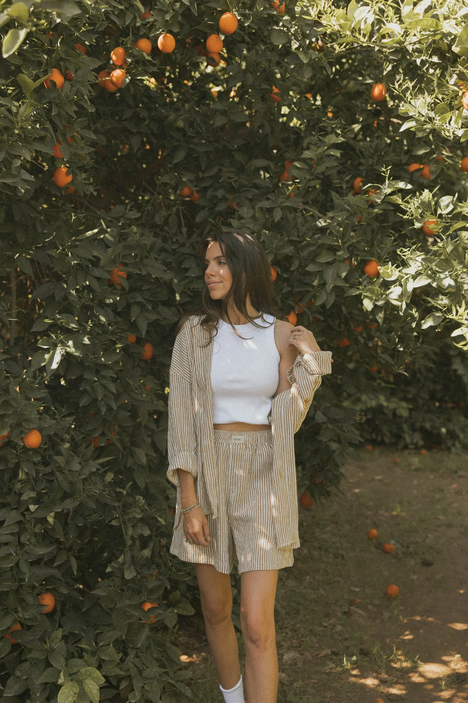 Hampton Top in Umber | Women's Pinstripe Button-Up Shirt - Image 3