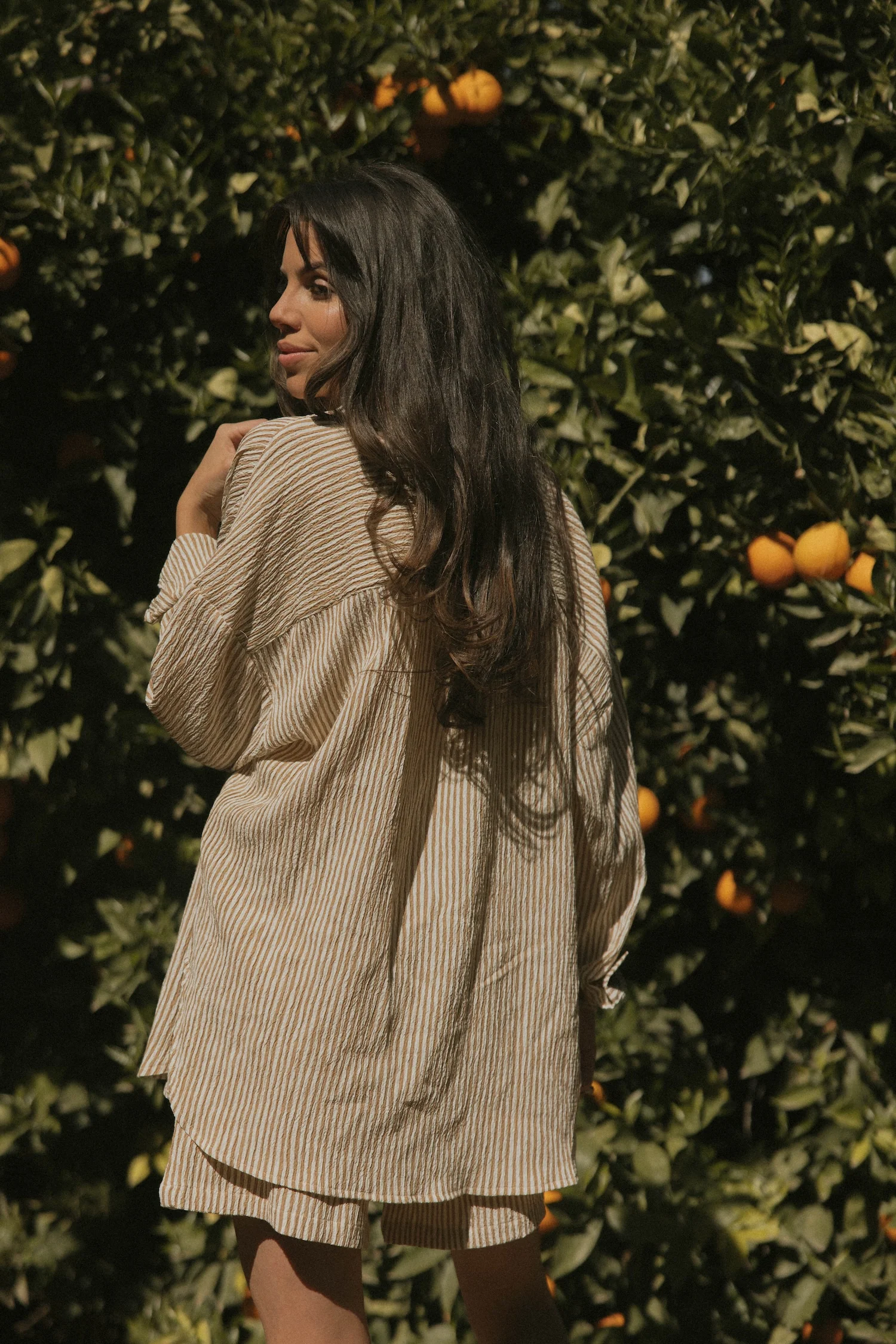 Hampton Top in Umber | Women's Pinstripe Button-Up Shirt - Image 4